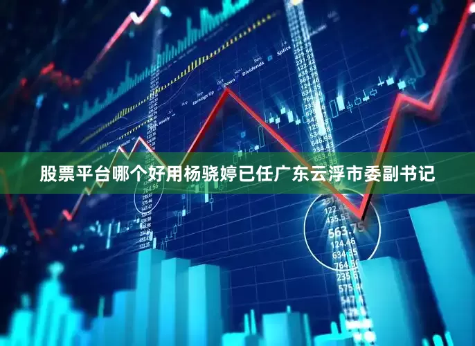 股票平台哪个好用杨骁婷已任广东云浮市委副书记