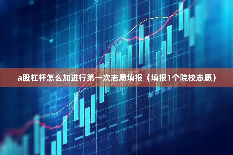 a股杠杆怎么加进行第一次志愿填报（填报1个院校志愿）
