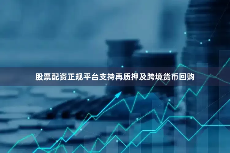 股票配资正规平台支持再质押及跨境货币回购