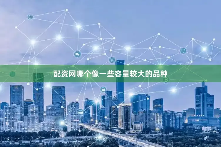 配资网哪个像一些容量较大的品种