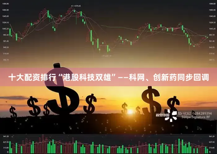 十大配资排行“港股科技双雄”——科网、创新药同步回调