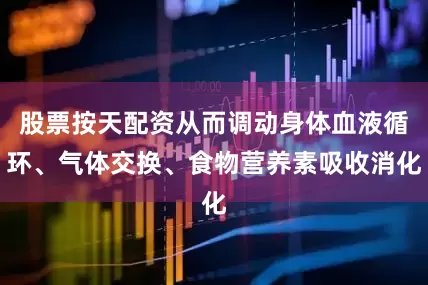 股票按天配资从而调动身体血液循环、气体交换、食物营养素吸收消化
