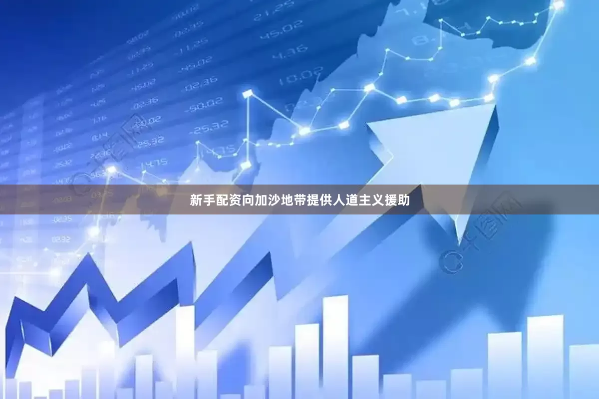 新手配资向加沙地带提供人道主义援助
