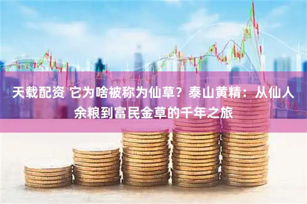 天载配资 它为啥被称为仙草？泰山黄精：从仙人余粮到富民金草的千年之旅